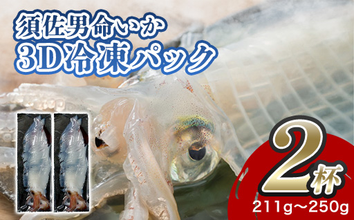 自宅で透明感を再現！須佐男命いかの姿造り（