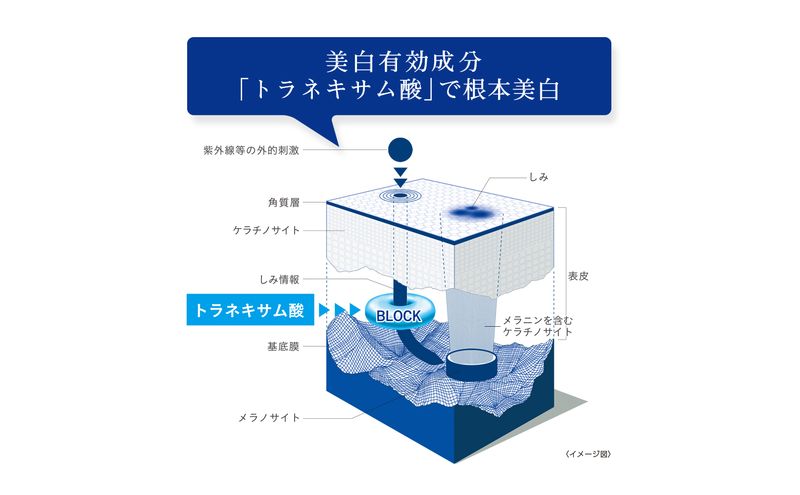 トランシーノ薬用ホワイトニングリペアクリームEX35g　ケア スキンケア 美白 保湿 エイジングケア　しみ・そばかすを防ぐ 紫外線対策 肌荒れ防止 トランシーノ 第一三共