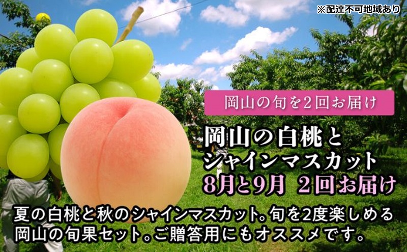 yRʖszy2026NxzR̔ƃVC}XJbg 2 ͂  i8E9j  VC}XJbg uhE  RY Y t[c ʕ