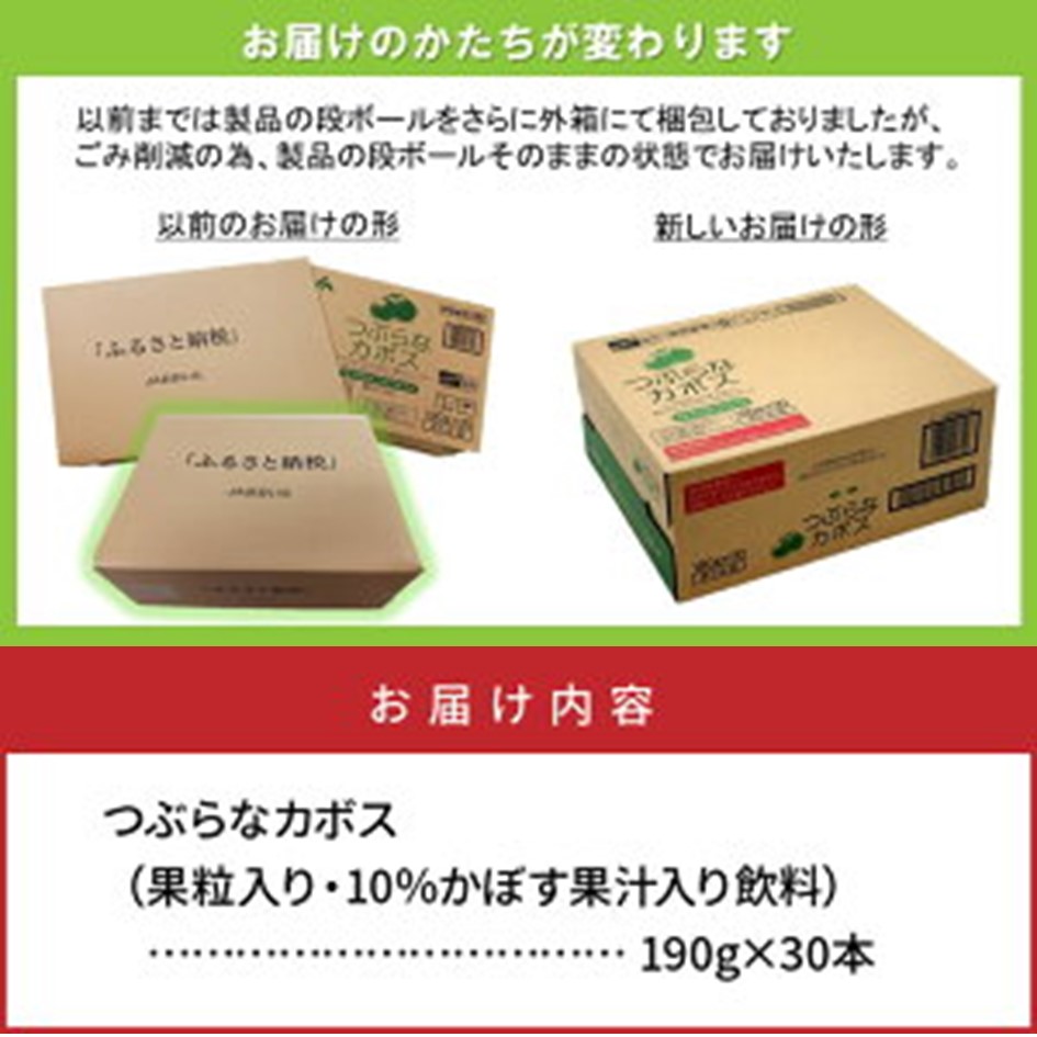 大分県国東市のふるさと納税 つぶらなカボス（30本）・通_29004A