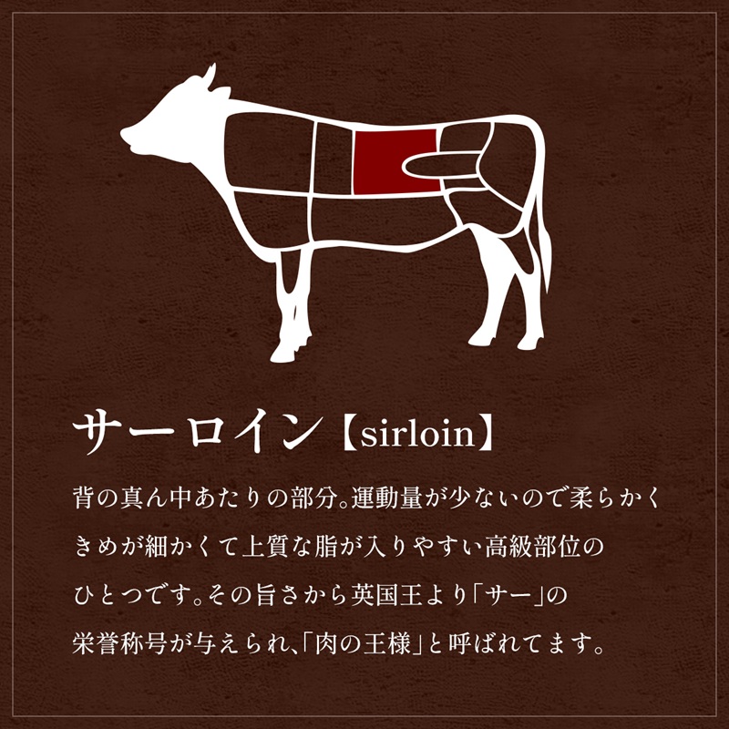 【和牛セレブ】能登牛 サーロインステーキ 240g お肉ギフト専門店 石川県 能美市