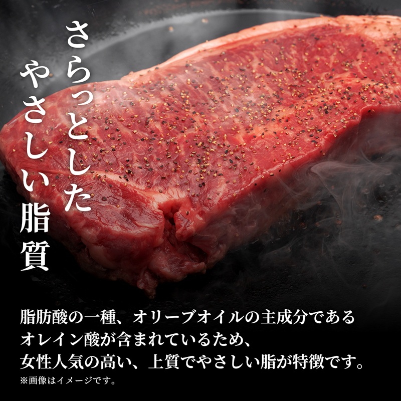 【和牛セレブ】能登牛 サーロインステーキ 240g お肉ギフト専門店 石川県 能美市