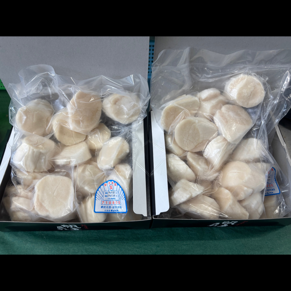 24-100 【年内配送12月15日入金まで】最高級！北海道オホーツク海産　冷凍ほたて貝柱（1kg） within2025