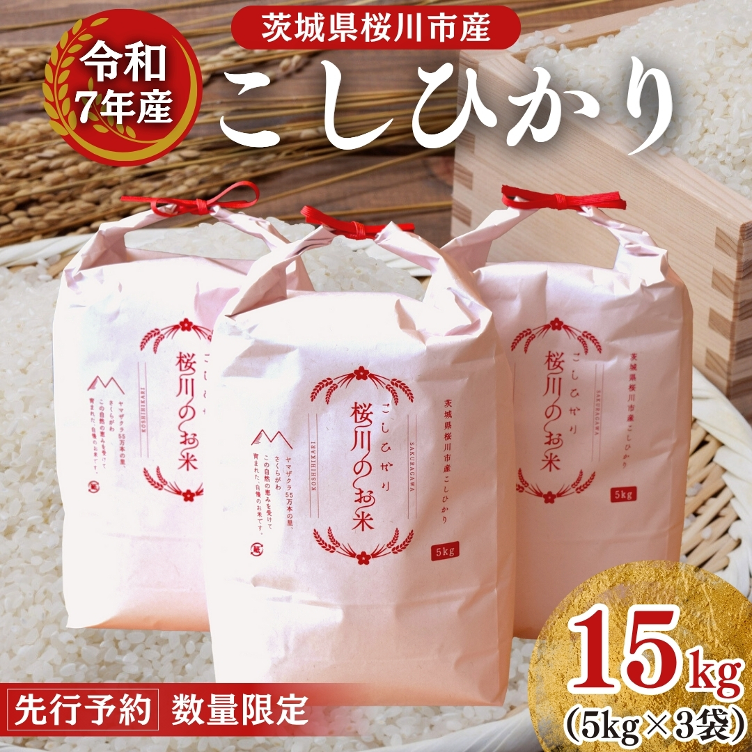 1月下旬精米　お米　コシヒカリ　15kg(5kg×3袋)　令和6年産 1月下旬精米 お米 コシヒカリ 15kg(5kg×3袋) 令和6年産