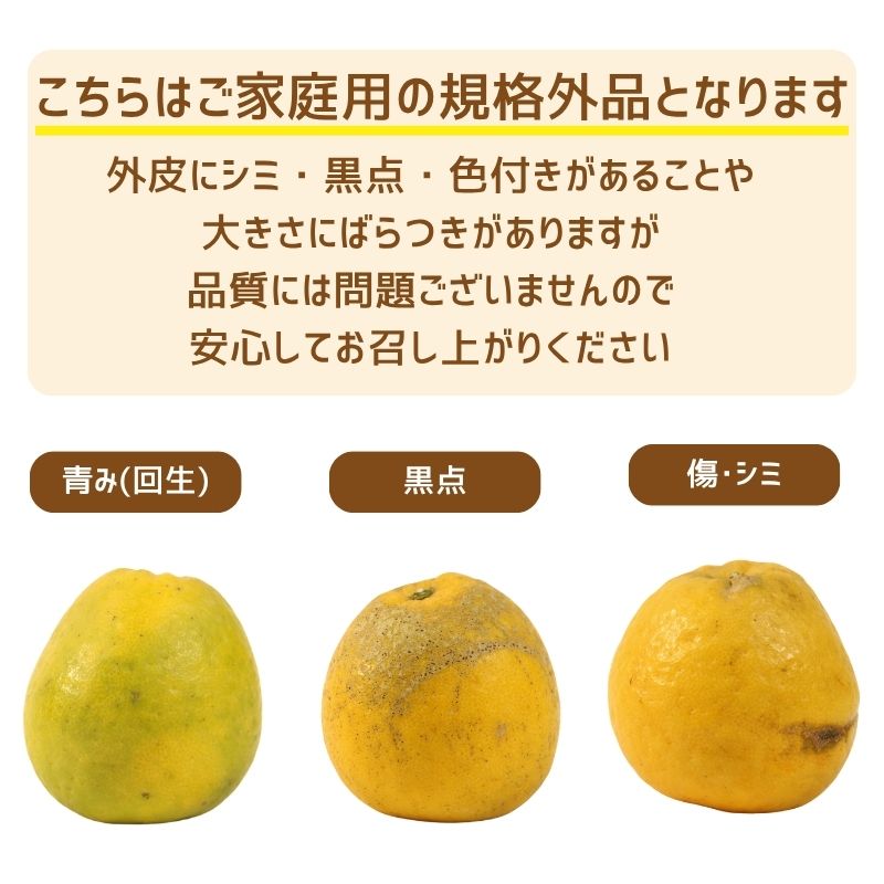 訳あり 愛南ゴールド ( 河内晩柑 ) 8kg 9000円  かわちばんかん ミカン わけあり  家庭用 あいなん ゴールド 蜜柑 和製 グレープフルーツ 産地直送 国産 農家直送 期間限定 数量限定 フルーツ 果物 柑橘 傷 不揃い 規格外 愛媛県 愛南町 愛なんよ 