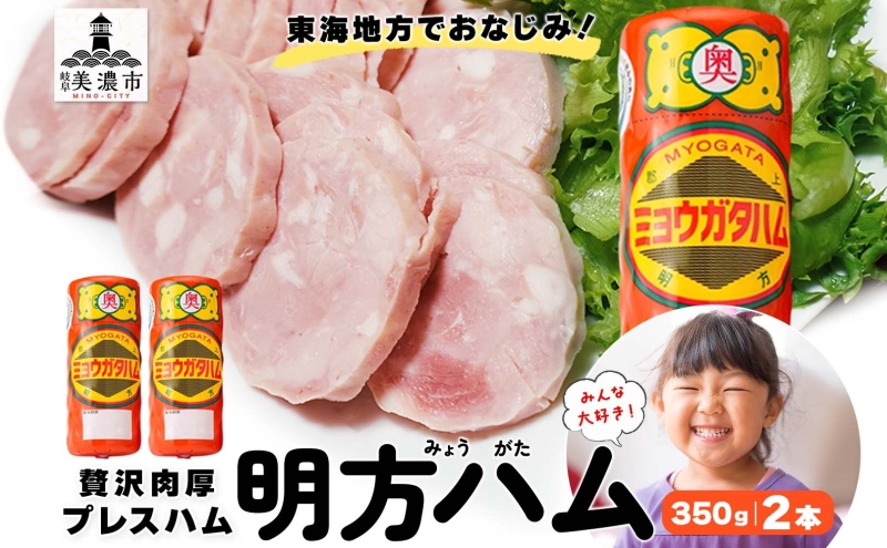明方 ハム 2本 プレスハム JA ブランド 豚肉 お肉 国産 熟成 塩分 控えめ 豚腸 バーベキュー BBQ 加工品 お取り寄せ 贈答 ギフト 送料無料 めぐみの農業協同組合 岐阜県 美濃市