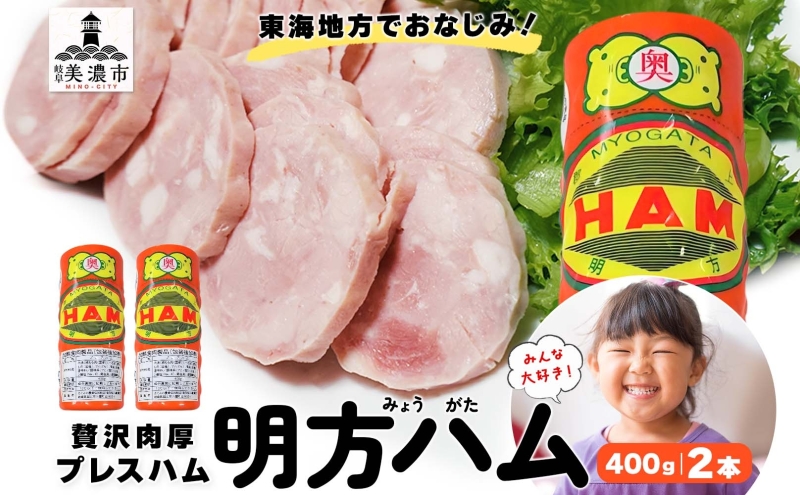 【9月中旬ごろより順次発送】明方 ハム 2本 プレスハム JA ブランド 高級 豚肉 お肉 国産 熟成 塩分 控えめ 天然 豚腸 バーベキュー BBQ 加工品 お取り寄せ 贈答 ギフト 送料無料 めぐみの農業協同組合 岐阜県 美濃市