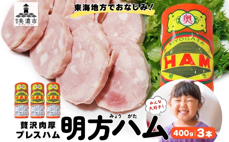 【9月中旬ごろより順次発送】明方 ハム 3本 プレスハム JA ブランド 高級 豚肉 お肉 国産 熟成 塩分 控えめ 天然 豚腸 バーベキュー BBQ 加工品 お取り寄せ 贈答 ギフト 送料無料 めぐみの農業協同組合 岐阜県 美濃市