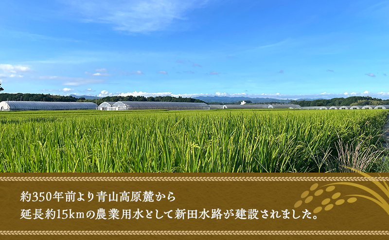 陽・気候・水の三拍子揃った美旗地区より みはたM'sファーム 令和7年産 伊賀米コシヒカリ 5kg 3年連続 特A 米 こしひかり ご飯 ごはん 白米 精米 三重県 名張市