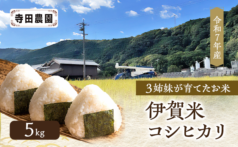 3姉妹が育てたお米 寺田農園 令和7年産 伊賀米コシヒカリ 5kg 3年連続 特A 米 こしひかり ご飯 ごはん 白米 精米 三重県 名張市