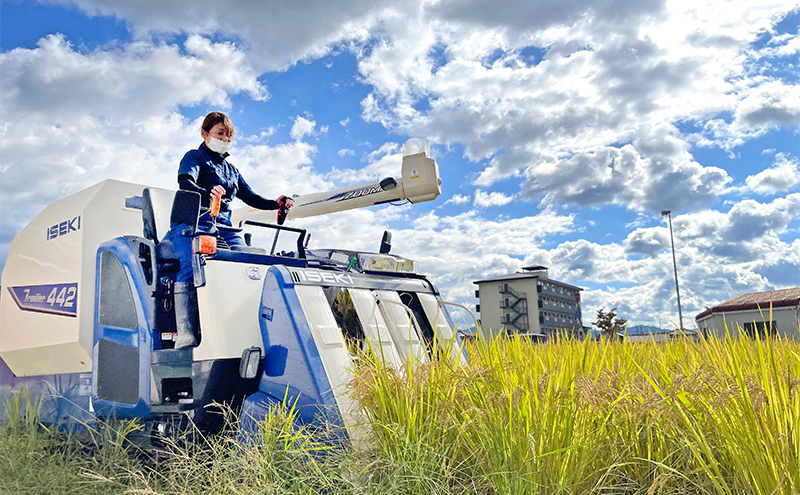 3姉妹が育てたお米 寺田農園 令和7年産 伊賀米コシヒカリ 5kg 3年連続 特A 米 こしひかり ご飯 ごはん 白米 精米 三重県 名張市