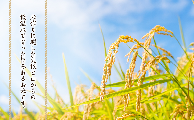 兼業農家の底チカラ！ 松本農園 令和7年産 伊賀米コシヒカリ 5kg 3年連続 特A 米 こしひかり ご飯 ごはん 白米 精米 三重県 名張市