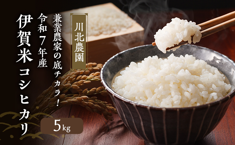 兼業農家の底チカラ！川北農園 令和7年産 伊賀米コシヒカリ 5kg 3年連続 特A 米 こしひかり ご飯 ごはん 白米 精米 三重県 名張市