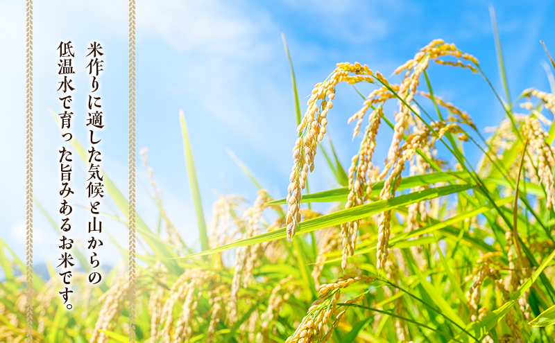 兼業農家の底チカラ！川北農園 令和7年産 伊賀米コシヒカリ 5kg 3年連続 特A 米 こしひかり ご飯 ごはん 白米 精米 三重県 名張市