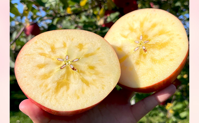 【贈答用】葉とらずサンふじ　約3kg リンゴ りんご フルーツ 果物 お取り寄せ 長野県 山ノ内町