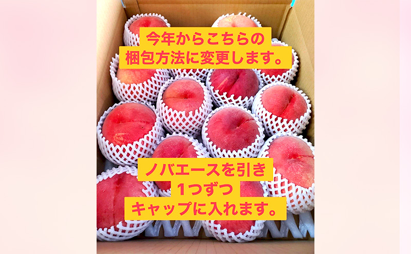 【2026年発送】桃　白鳳　約3kg もも フルーツ 果物 お取り寄せ 長野県 山ノ内町