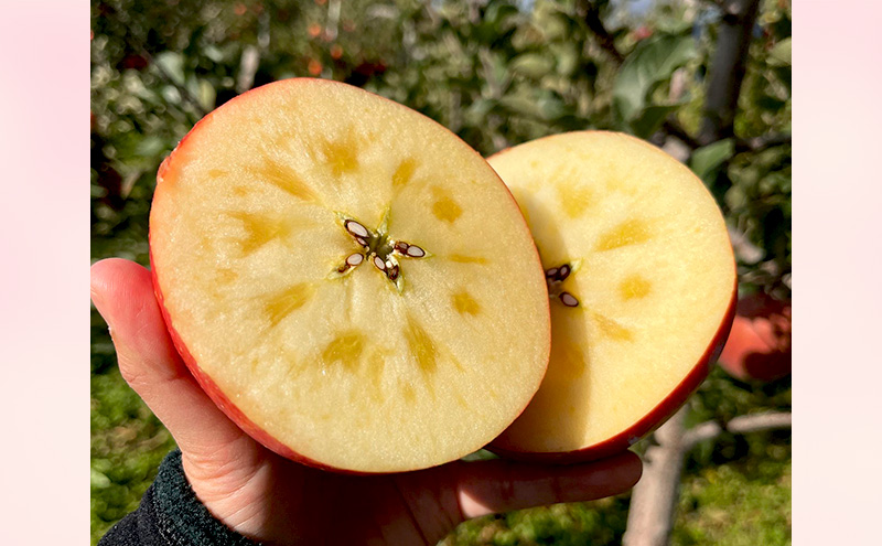 【訳あり】サンふじ　約3kg リンゴ りんご フルーツ 果物 お取り寄せ 長野県 山ノ内町