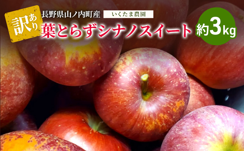 �y���쌧�R�m�����z�y2026�N�����z�󂠂� �V�i�m�X�C�[�g�@��3kg �����S ��� �t���[�c �ʕ� ������ ���쌧 �R�m����