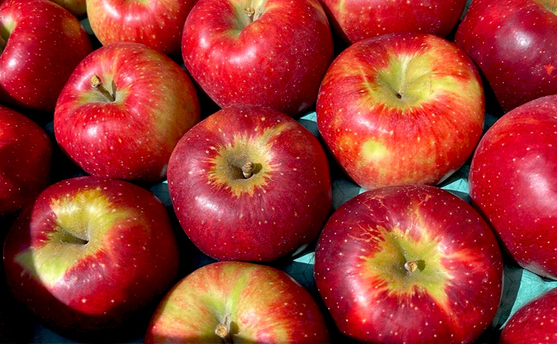 【2026年発送】訳あり 秋映 約3kg リンゴ りんご フルーツ 果物 お取り寄せ 長野県 山ノ内町