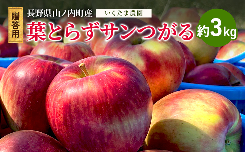 �y���쌧�R�m�����z�y2026�N�����z�����p �t�Ƃ炸�T������ ��3kg �����S ��� �t���[�c �ʕ� ������ ���쌧 �R�m����