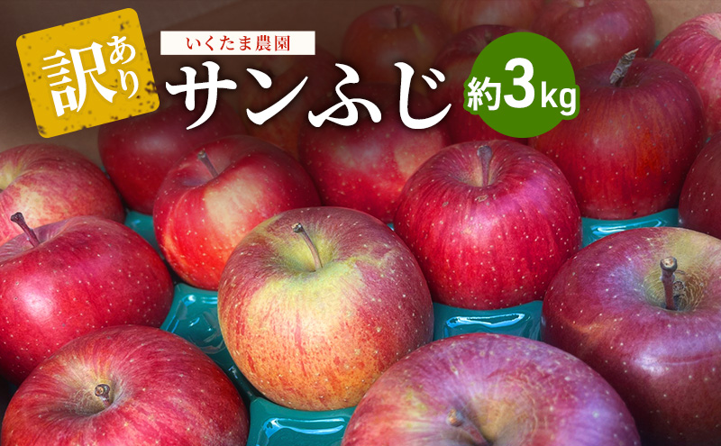 y쌧Rmzy󂠂zTӂ@3kg S  t[c ʕ  쌧 Rm
