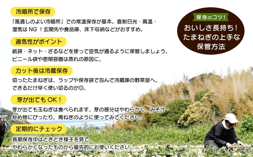 淡路島たまねぎ 歩-AYUMU- 2kg　　[玉ねぎ 産地直送 玉葱]