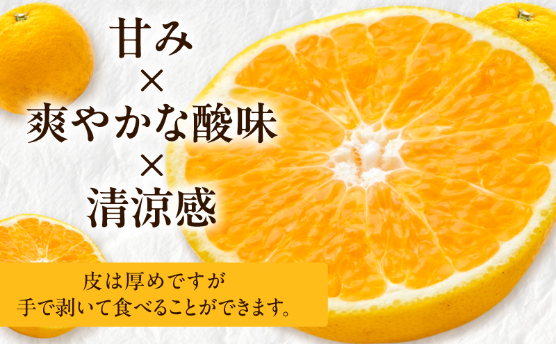 宮崎県日南市のふるさと納税 先行予約 訳あり オリジナル ブランド 陽南姫 計3.8kg以上 傷み補償分入り 令和8年発送 期間限定 数量限定 フルーツ 果物 くだもの 柑橘 みかん 訳アリ 家庭用 不揃い 傷 規格外 国産 食品 デザート ジュース おやつ 希少 おすすめ 宮崎県 日南市 送料無料_AAV4-25