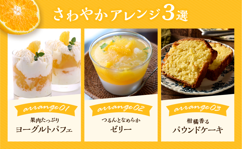 宮崎県日南市のふるさと納税 先行予約 訳あり オリジナル ブランド 陽南姫 計3.8kg以上 傷み補償分入り 令和8年発送 期間限定 数量限定 フルーツ 果物 くだもの 柑橘 みかん 訳アリ 家庭用 不揃い 傷 規格外 国産 食品 デザート ジュース おやつ 希少 おすすめ 宮崎県 日南市 送料無料_AAV4-25