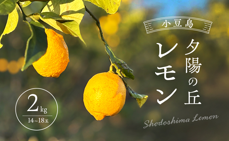 【香川県土庄町】小豆島 夕陽の丘 レモン 2kg (14〜18玉) 果物 フルーツ 柑橘 香川 土庄町