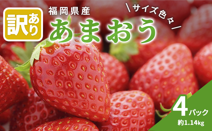 【福岡県大刀洗町】訳あり いちご 2026年3月中旬より発送 あまおう サイズ色々 4パック 約1.14kg 果物 フルーツ 福岡県産あまおう ※配送不可:離島