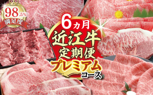 【期間限定】特選近江牛定期便（６カ月）プレミアムコース【ZZ41W】