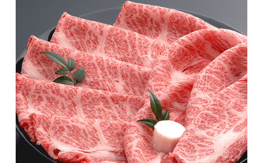 【期間限定】特選近江牛定期便（６カ月）プレミアムコース【ZZ41W】