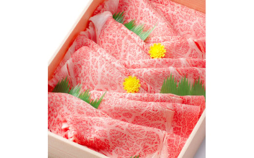 【期間限定】特選近江牛定期便（６カ月）プレミアムコース【ZZ41W】