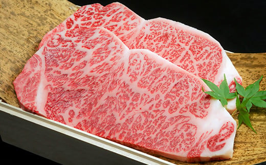 【期間限定】特選近江牛定期便（３カ月）竹コース（近江牛マスター上級編）【ZZ45W】