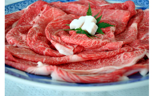 【期間限定】特選近江牛定期便（３カ月）梅コース（近江牛マスター中級編）【ZZ46W】