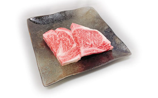 【期間限定】極上近江牛500g　食べ方色々！アソート定期便【ZZ49W】