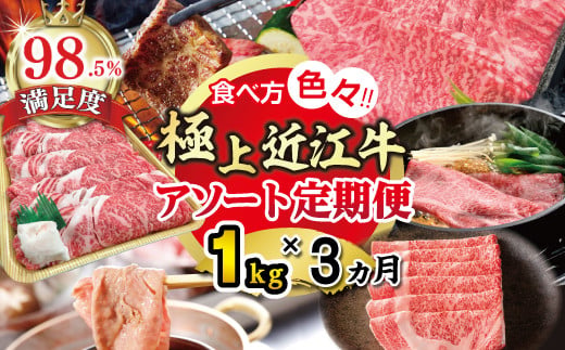 yꌧߍ]szyԌzɏߍ]1kg@HוFXIA\[gցyZZ50Wz