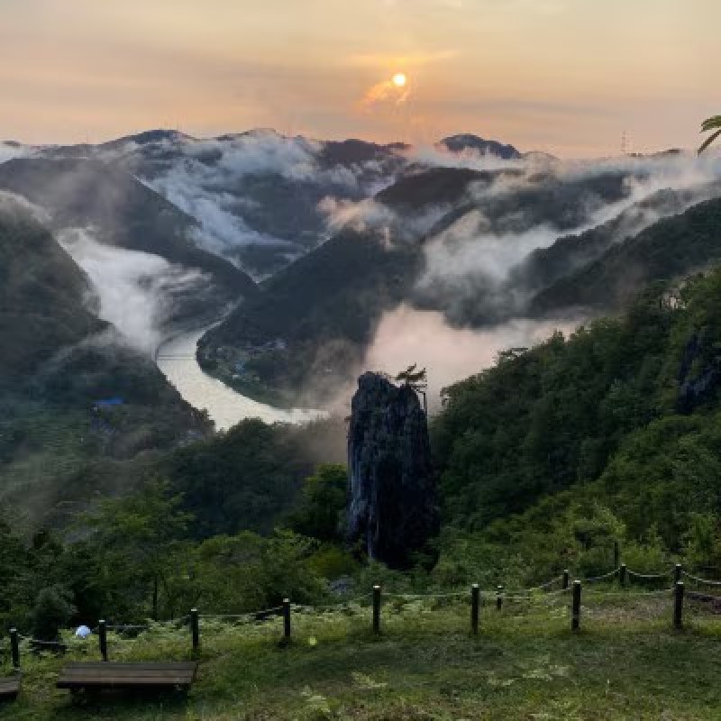2026年 早期受付 ぶどう ピオーネ 約2kg（3～4房）岡山県高梁市産 まつむら農園 個装箱入り 葡萄 ブドウ 贈り物