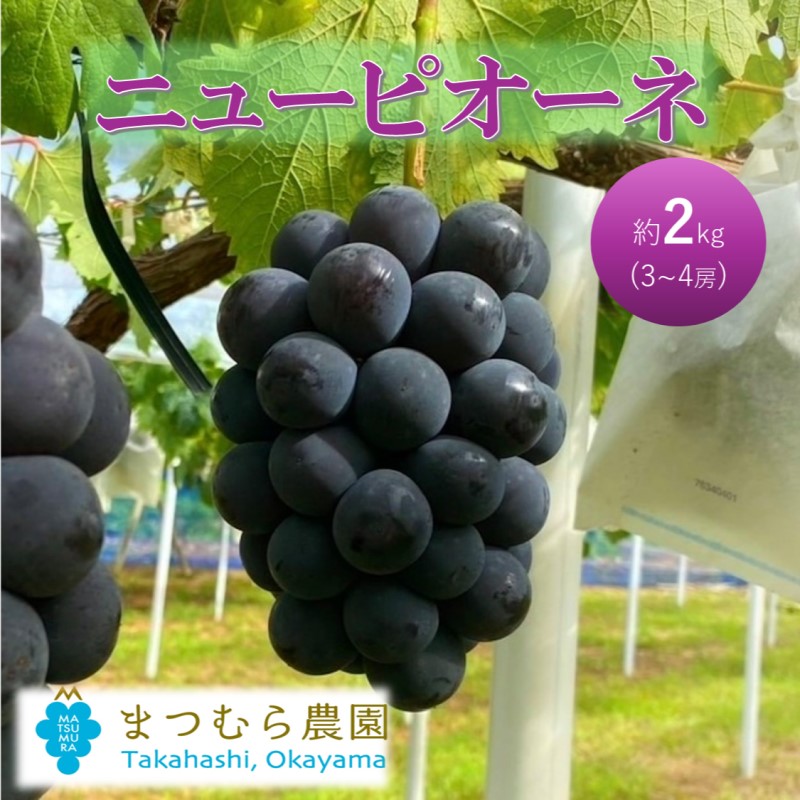 yRsz2026N t Ԃǂ sI[l 2kgi3`4[jRsY ܂ނ_   uhE 蕨