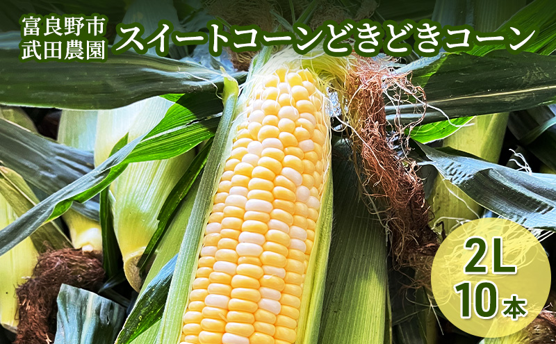 ykCxǖsz2026NĔ mc_ƂꂽĒnXC[gR[ ǂǂR[ 2L 10{ kC xǖY Ƃ낱  VN Ƃ Â Yn s\ 