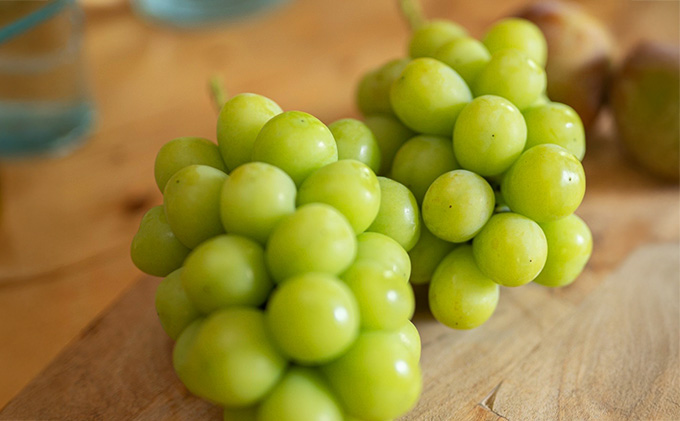 シャインマスカット 約1kg 2房 ぶどう フルーツ 果物 デザート 長野県 山ノ内町