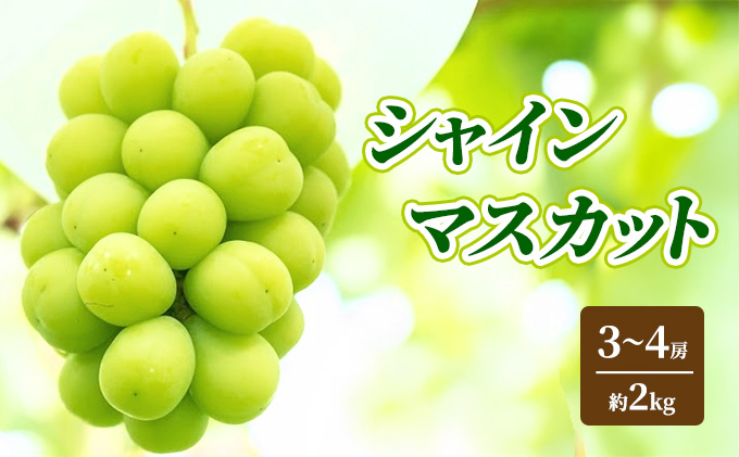 �y���쌧�R�m�����z�y2026�N�����z�V���C���}�X�J�b�g ��2kg 4�`5�[ �Ԃǂ� �t���[�c �ʕ� �f�U�[�g ���쌧 �R�m����