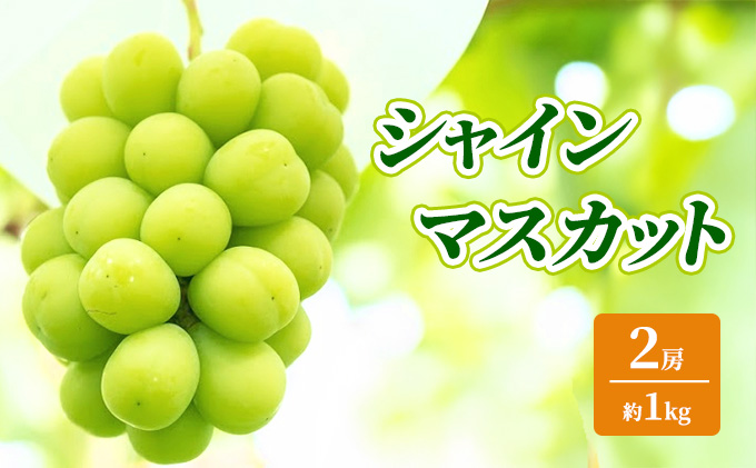 �y���쌧�R�m�����z�y2026�N�����z�V���C���}�X�J�b�g ��1kg 2�[ �Ԃǂ� �t���[�c �ʕ� �f�U�[�g ���쌧 �R�m����