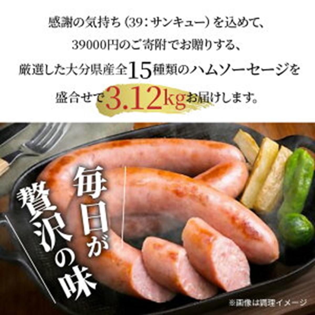 大分県国東市のふるさと納税 感謝の39セット/15種ハムソーセージ盛合せ3.12kg_0250N