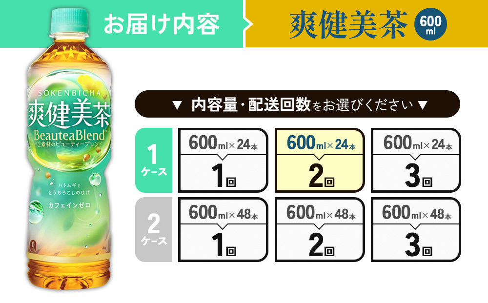 （2回定期便）爽健美茶 600ml PET【コカ・コーラ】ペットボトル 1ケース(24本) 定期便 2回(48本) セット お茶 カフェインゼロ ノンカフェイン ハトムギ ブレンド茶 宮崎県 えびの市 送料無料