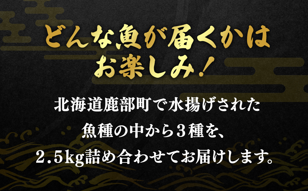 訳あり 北海道 冷凍鮮魚切り身3種セット 約2.5kg 鮭 サクラマス ほっけ さば おまかせ
