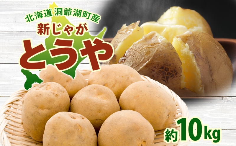 �y�k�C������Β��z�k�C�� ����Β��Y �V���Ⴊ���� �Ƃ��� ��10kg  M�T�C�Y�ȏ㍬�� 2026�N10�����{��菇���o�� �k�C���Y �V���Ⴊ ���Ⴊ���� �W���K�C�� �n�鏒 �{ ��� �_�앨 �������� �Y�n���� �퉷 ����Β�