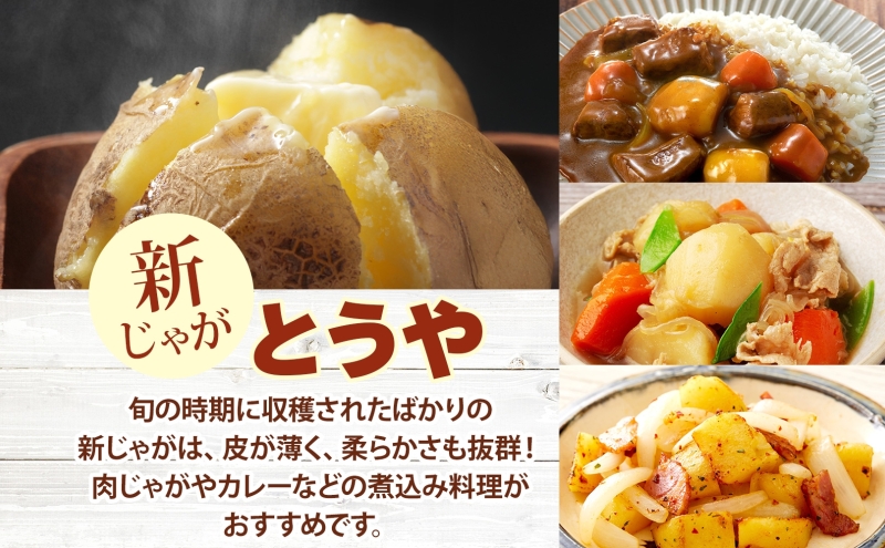 北海道 洞爺湖町産 新じゃがいも とうや 約10kg  Mサイズ以上混載 2026年10月初旬より順次出荷 北海道産 新じゃが じゃがいも ジャガイモ 馬鈴薯 旬 野菜 農作物 送料無料 産地直送 常温 洞爺湖町 