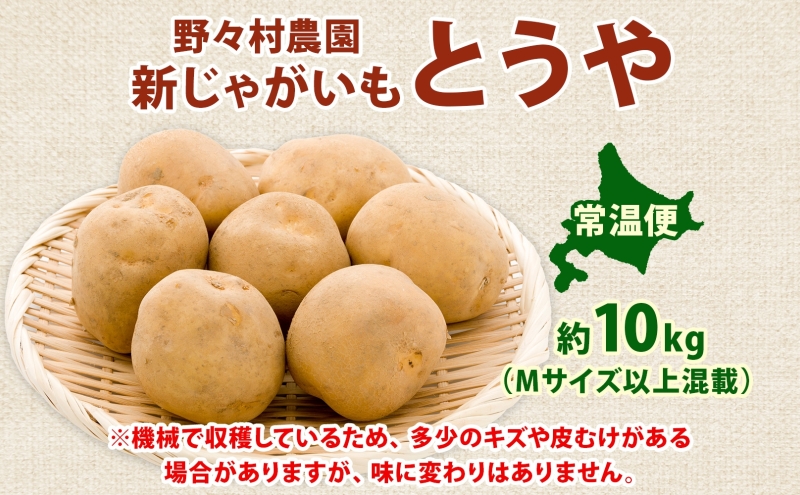 北海道 洞爺湖町産 新じゃがいも とうや 約10kg  Mサイズ以上混載 2026年10月初旬より順次出荷 北海道産 新じゃが じゃがいも ジャガイモ 馬鈴薯 旬 野菜 農作物 送料無料 産地直送 常温 洞爺湖町 