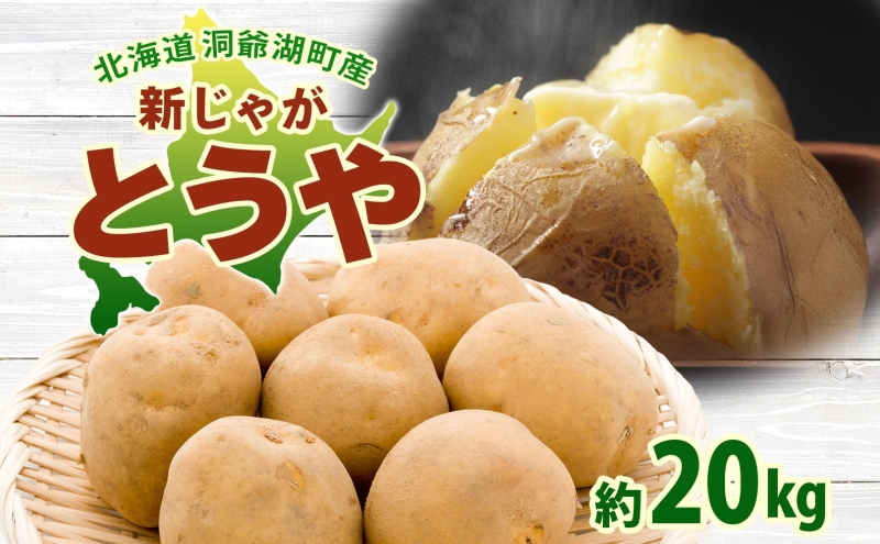 北海道 洞爺湖町産 新じゃがいも とうや 約20kg  Mサイズ以上混載 2026年10月初旬より順次出荷 北海道産 新じゃが じゃがいも いも ジャガイモ 馬鈴薯 黄爵 芋 旬 野菜 農作物 送料無料 産地直送 常温 洞爺湖町 